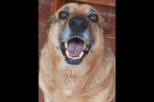 Miniatura publicación